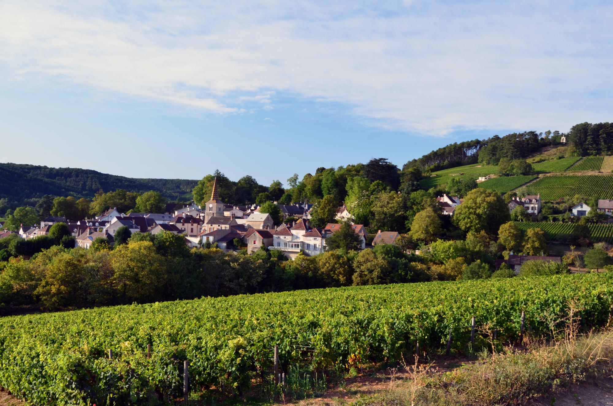 Discover Burgundy - Vacation package : The Valley of Gastronomy Tour  - Land of France, travel agency in France